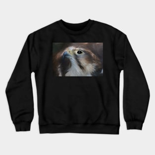 Saker Falcon Crewneck Sweatshirt